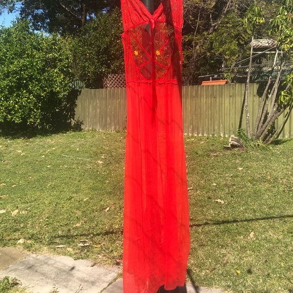 Maxi style net sexy lingerie / nighty - Picture 6 of 6